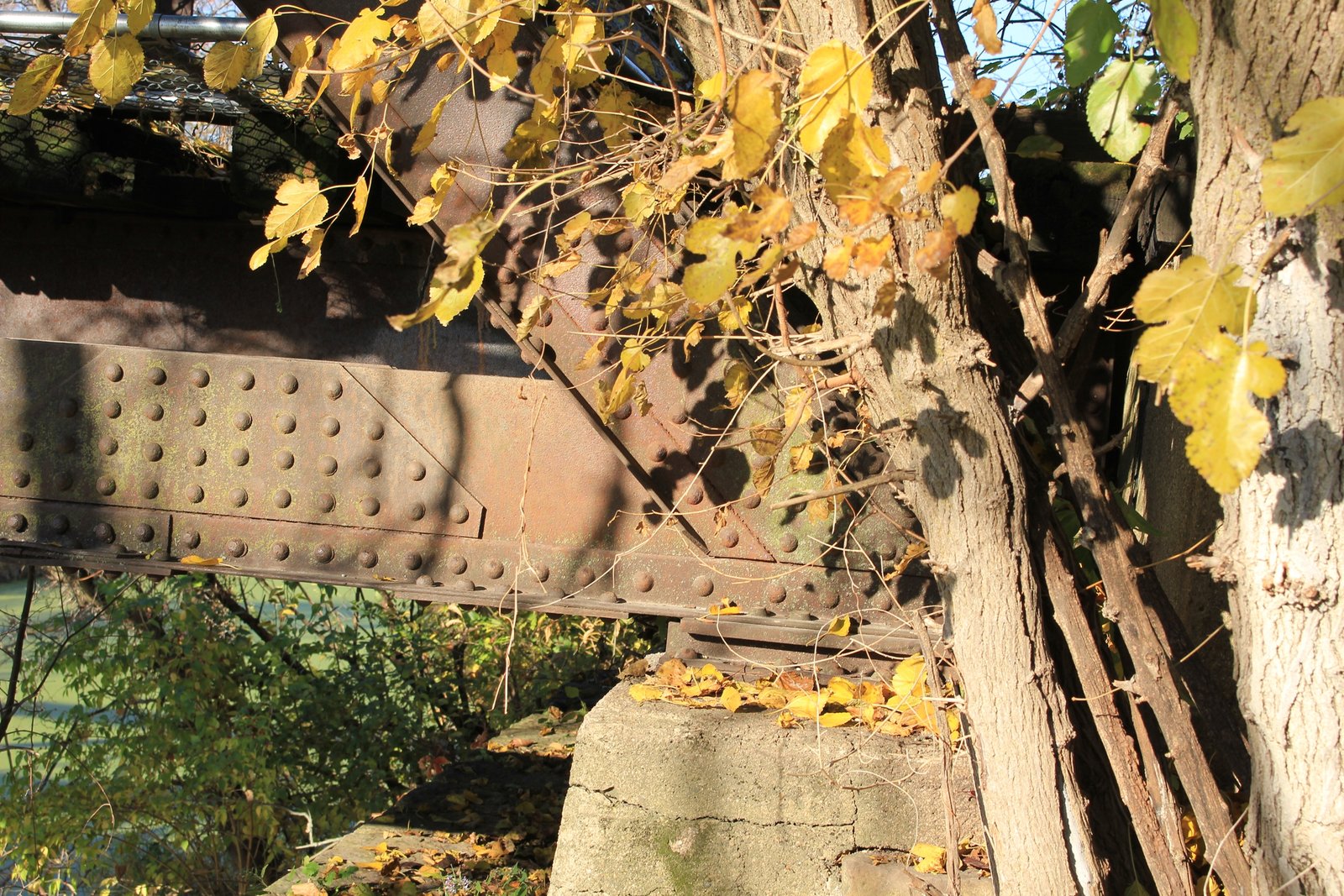 Lower angle connection